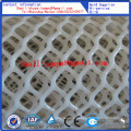 Plastic Flat Mesh Factory Direct Sale